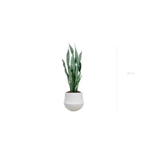 [A-PT27-CE1] Le Sansevieria - Pot Rond Blanc - Artificiel