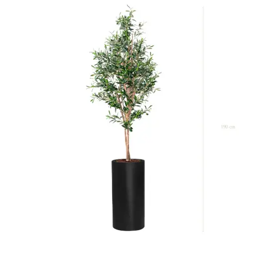 [A-PT26-FB17] The Small Olivier – Tall Black Cylinder #Semi-Natural