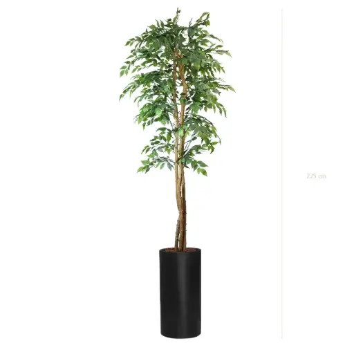 [A-PT30-FB17] Le Figuier - Cylindre Haut Noir #Semi-Naturel