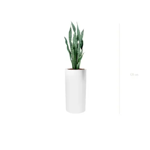 [A-PT27-FB18] Le Sansevieria - Cylindre Haut Blanc - Artificiel