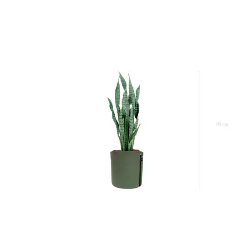 [A-PT27-TI9] Le Sansevieria - Pot MyBac - Artificiel