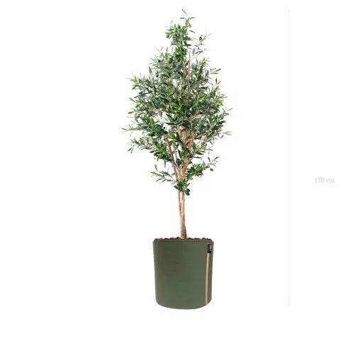 [A-PT26-TI10] Le Petit Olivier - Pot MyBac #Semi-Naturel