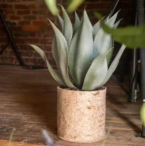 [A-PT24-TI4] The Agave – Beige Fabric Pot #Artificial
