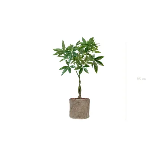 [A-PT28-TI5] Le Pachira - Pot Tissu Beige #Artificiel