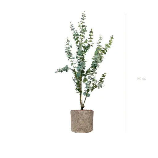 [A-PT25-TI6] Le Petit Eucalyptus - Pot Tissu Beige #Artificiel