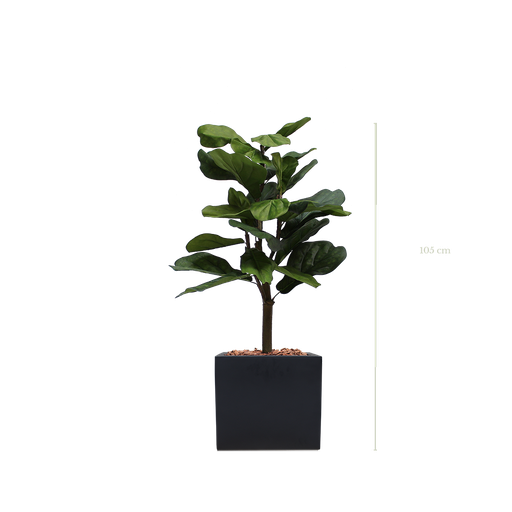 [A-PT1-FB7] Le Lyrata 105 cm - Cube Noir #Artificiel