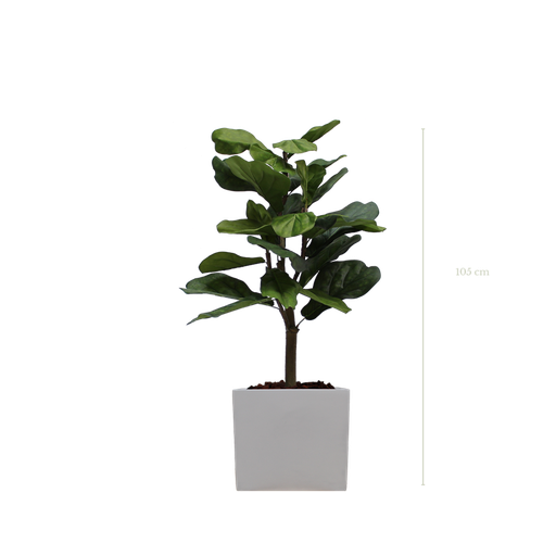 [A-PT1-FB8] Die Lyrata 105 cm – weißer kubischer Topftopf #Künstlich