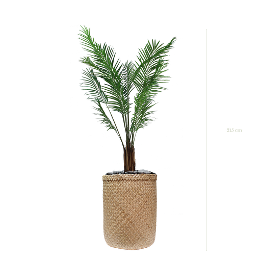 [A-PT2-TR3] The Areca in a natural woven pot #Artificial
