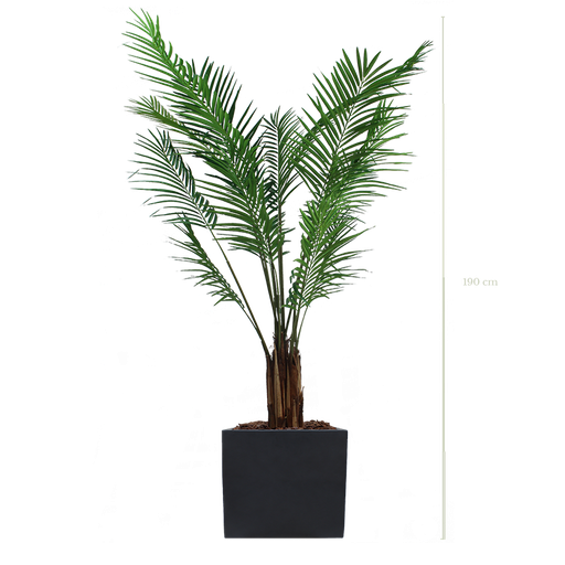 [A-PT2-FB9] The Areca in a black square pot #Artificial