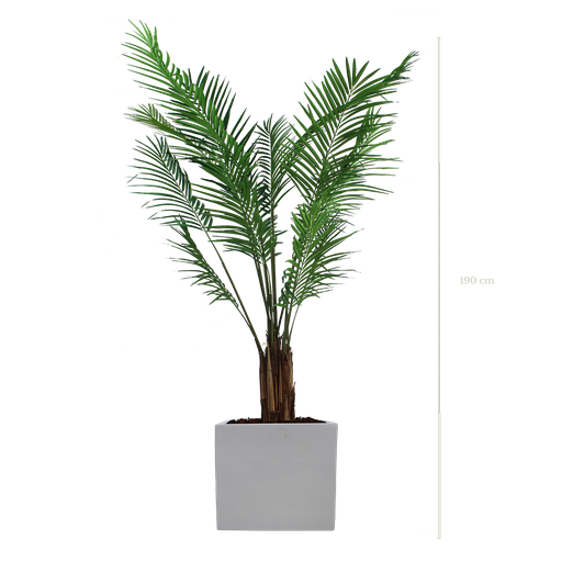 [A-PT2-FB10] The Areca in a white square pot #Artificial