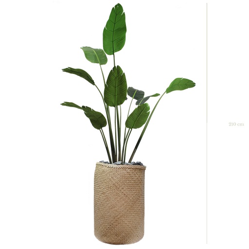 [A-PT3-TR3] Der Bananenbaum 210 cm – Naturgeflecht-Topf #künstlich