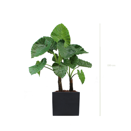 [A-PT4-FB9] Le Grand Alocasia 130 cm - Cube Noir #Artificiel