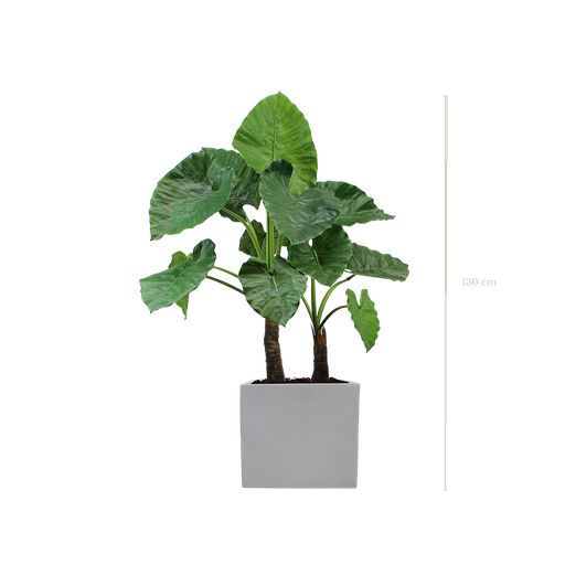 [A-PT4-FB10] Le Grand Alocasia 130 cm - Cube Blanc #Artificiel