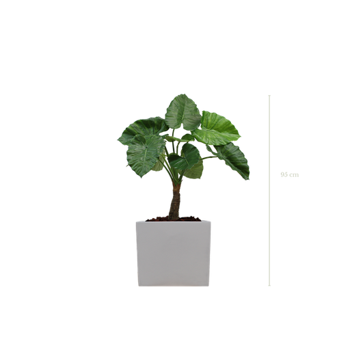 [A-PT5-FB8] Der kleine Alocasia - weißer kubischer Topf #Künstlich