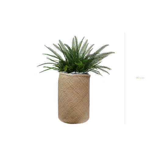 [A-TG10-TR3] The Fern in a natural woven pot #Artificial