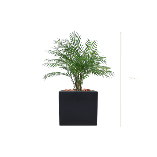 [A-TG9-FB7] Le Palm 100 cm - Cube Noir #Artificiel