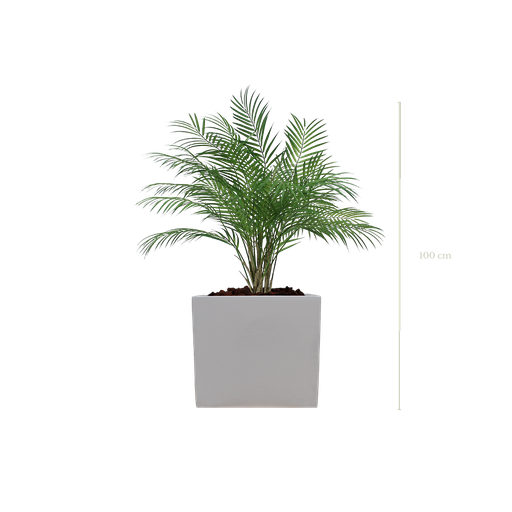 [A-TG9-FB8] Le Palm 100 cm - Cube Blanc #Artificiel