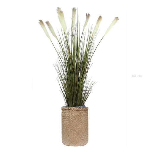 [A-TG1-TR2] The Pampa in a natural woven pot #Artificial