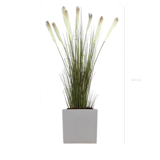 [A-TG1-FB8] The Pampa in a white square pot #Artificial