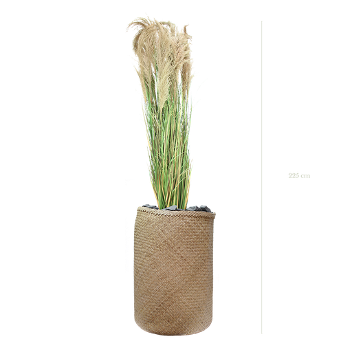 [A-PT7-TR3] La Grande Pampa 220 cm - Pot Tressé #Artificiel