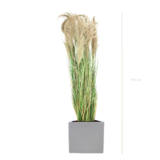 [A-PT7-FB10] The Big Pampa in a white square pot #Artificial