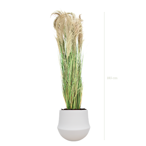 [A-PT7-CE2] La Grande Pampa 185 cm - Pot Rond Blanc #Artificielle