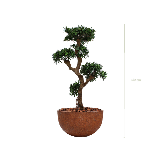 [A-PT8-FC3] Le Podocarpus 150 cm - Pot Marron #Artificiel