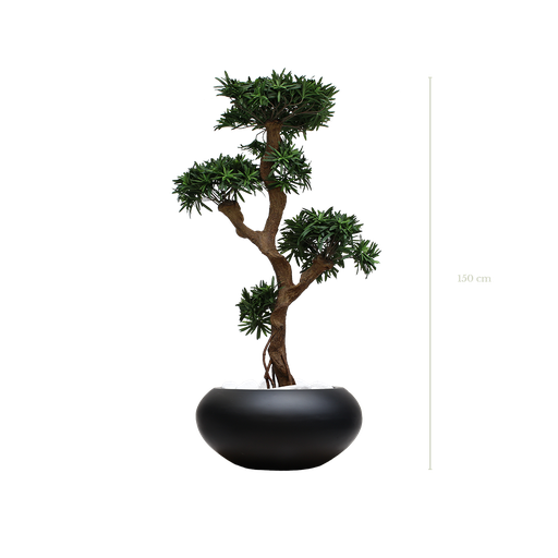 [A-PT8-FB13] Le Podocarpus 150 cm - Pot Ovale Noir #Artificiel