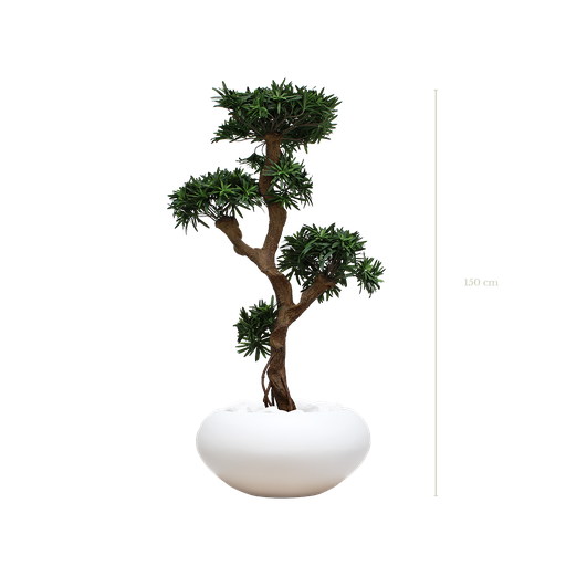 [A-PT8-FB14] Le Podocarpus 150 cm - Pot Ovale Blanc #Artificiel