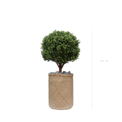 [A-PT9-TR2] der Buchsbaum - Naturgeflecht-Topf #Künstlich
