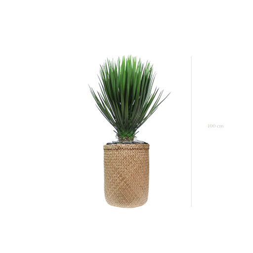 [A-PT13-TR3] Der Yucca 100 cm - Naturgeflecht-Topf #Künstlich