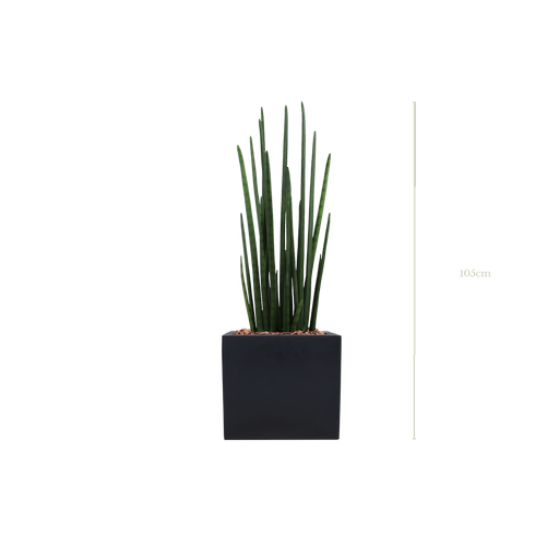 [A-PT12-FB7] Le Sansevieria 105 cm - Cube Noir #Artificiel