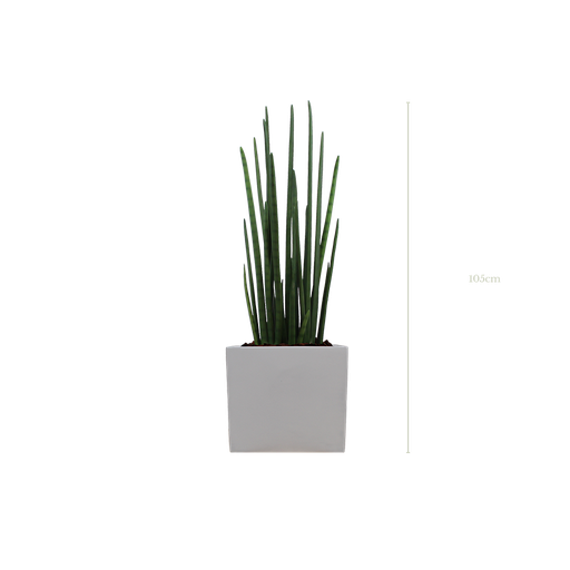 [A-PT12-FB8] Le Sansevieria 105 cm - Cube Blanc #Artificiel