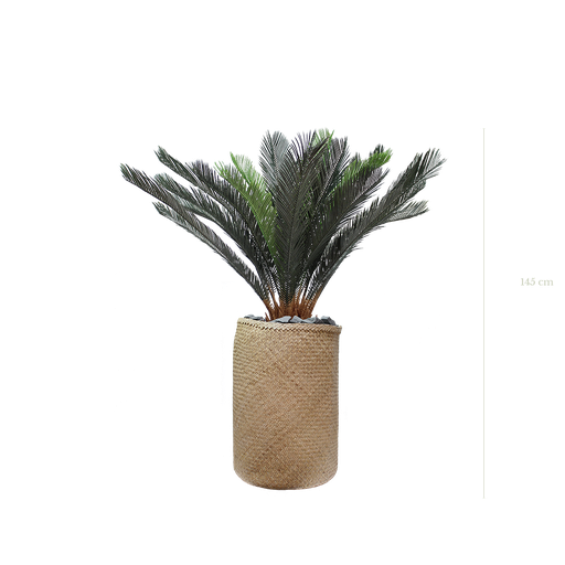[A-PT14-TR3] The Cycas in a natural woven pot #Artificial