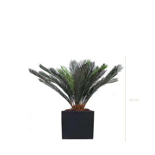 [A-PT14-FB9] Le Cycas 115 cm - Cube Noir #Artificiel