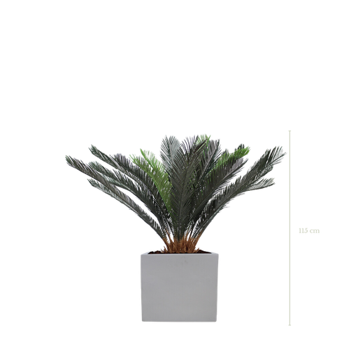 [A-PT14-FB10] Le Cycas 115 cm - Cube Blanc #Artificiel