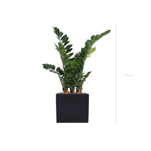[A-PT15-FB7] Der Zamia 115 cm – schwarzer kubischer Topf #Künstlich