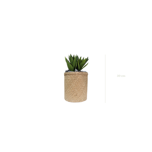 [A-PT16-TR1] die Aloe 50 cm - Naturgeflecht-Topf #Künstlich
