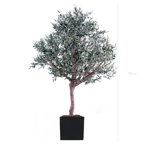 [A-AB1-FB9] der Olivenbaum 230 cm - Schwarzer kubischer Topf #Halbnatürlich