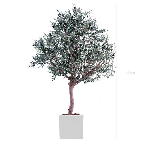 [A-AB1-FB10] der Olivenbaum 230 cm – weißer kubischer Topf #Halbnatürlich