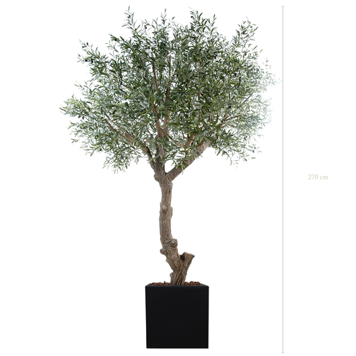 [A-AB2-FB11] der Olivenbaum 270 cm - schwarzer kubischer Topf #Künstlich
