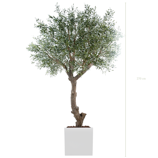 [A-AB2-FB12] L'Olivier 270 cm - Cube Blanc #Semi-naturel