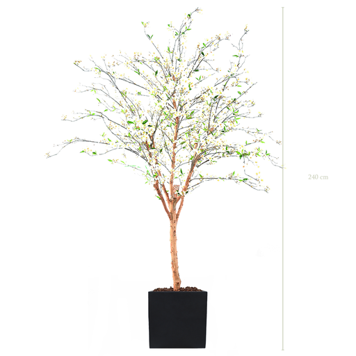 [A-AB3-FB9] Le Cerisier 240 cm - Cube Noir #Semi-naturel