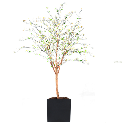 [A-AB3-FB9] Le Cerisier 240 cm - Cube Noir #Semi-naturel