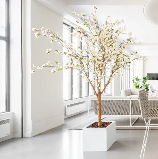 [A-AB3-FB10] Le Cerisier 240 - Cube Blanc - Semi-naturel