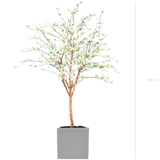 [A-AB3-FB10] Le Cerisier 240 cm - Cube Blanc #Semi-naturel
