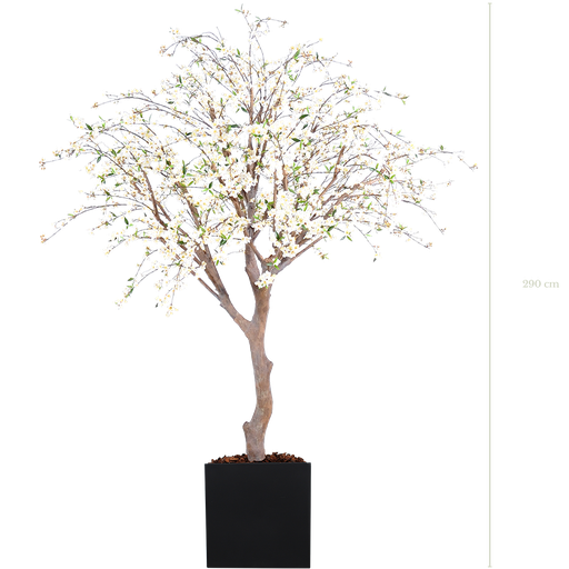[A-AB4-FB11] Le Cerisier 290 cm - Cube Noir #Semi-naturel