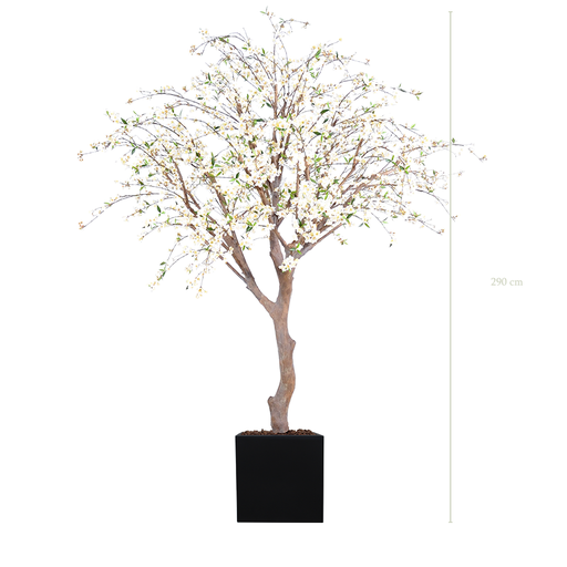 [A-AB4-FB11] Le Cerisier 290 cm - Cube Noir #Semi-naturel