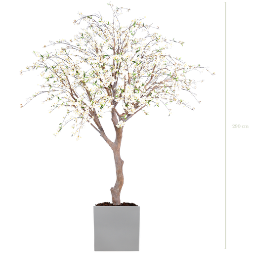 [A-AB4-FB12] Le Cerisier 290 cm - Cube Blanc #Semi-naturel