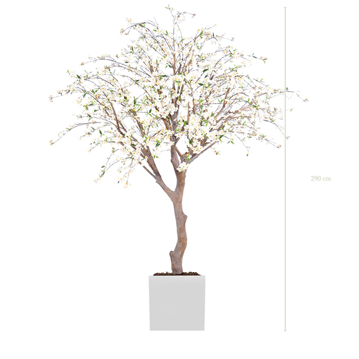 [A-AB4-FB12] Le Cerisier 290 cm - Cube Blanc #Semi-naturel